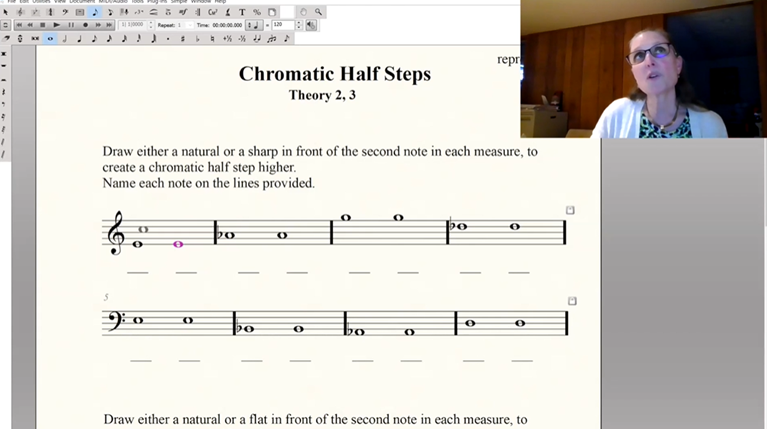 RCM Teacher Portal - Using Annotation in Online Lessons