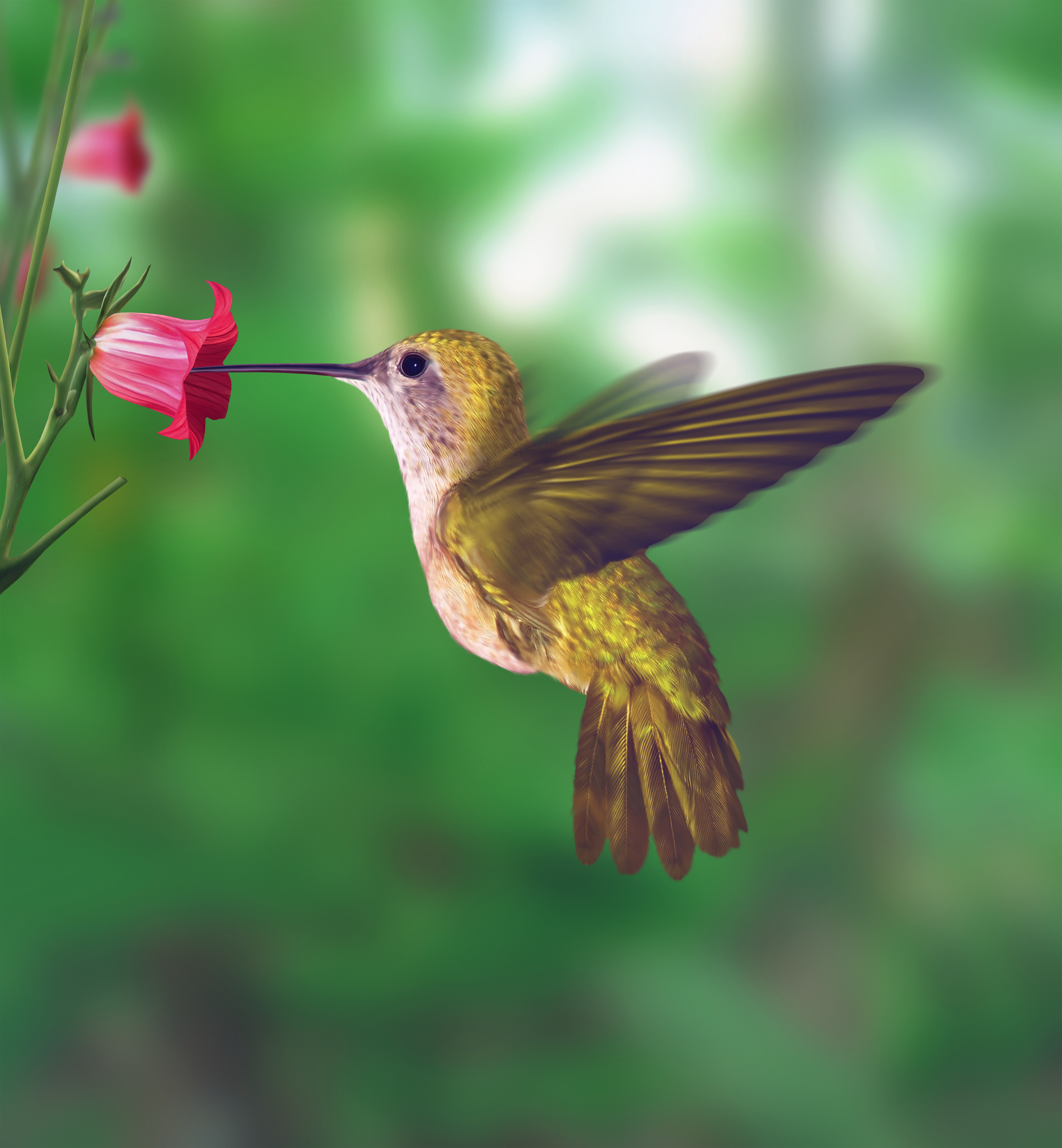Chausson: Le colibri
